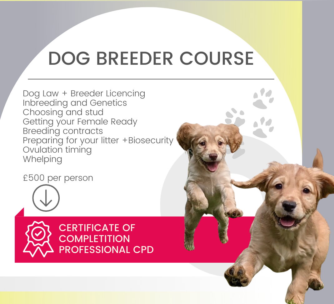 dog breeding breeder course certificate qualification licencing professional canine dogs puppy puppies